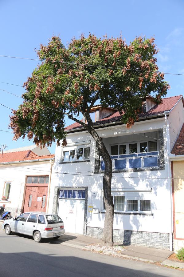 Hiv-Lak Apartman Erlau Exterior foto